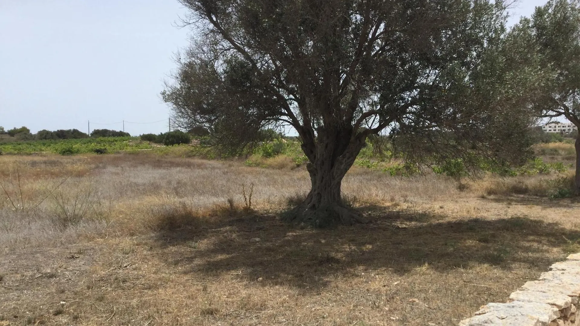 Ca Sa Gueela Βίλα La Savina  0*, La Savina (Formentera)